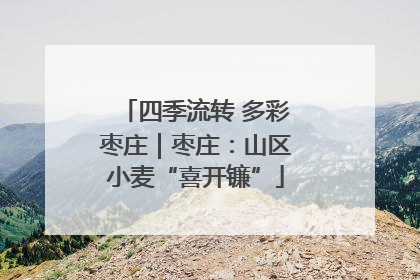 四季流转 多彩枣庄｜枣庄：山区小麦“喜开镰”