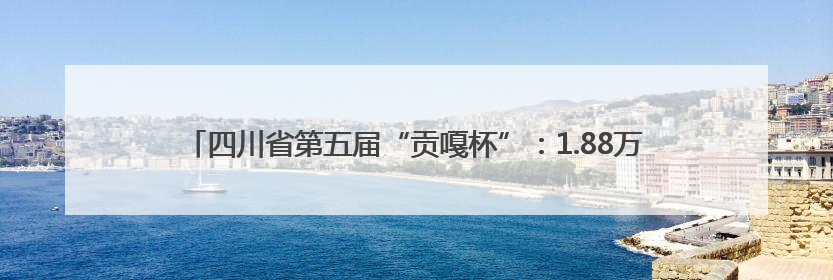 四川省第五届“贡嘎杯”：1.88万人比赛3300场 决出26组冠军