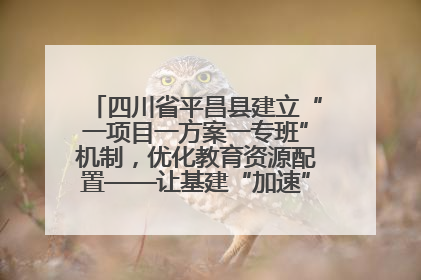 四川省平昌县建立“一项目一方案一专班”机制，优化教育资源配置——让基建“加速”，为成长“铺路”