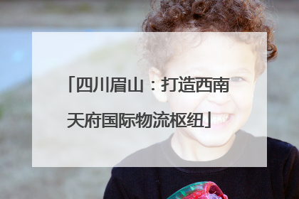 四川眉山：打造西南天府国际物流枢纽