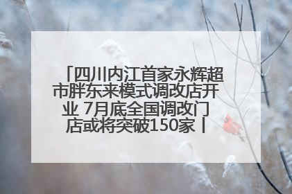 四川内江首家永辉超市胖东来模式调改店开业 7月底全国调改门店或将突破150家丨新经济观察
