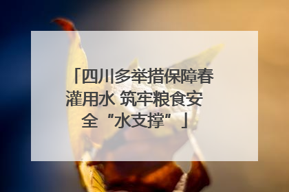 四川多举措保障春灌用水 筑牢粮食安全“水支撑”