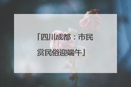 四川成都：市民赏民俗迎端午
