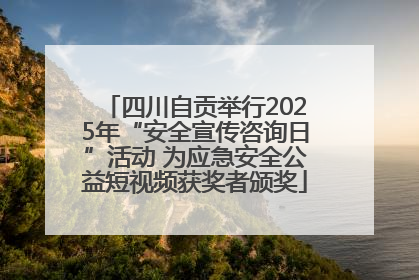四川自贡举行2025年“安全宣传咨询日”活动 为应急安全公益短视频获奖者颁奖
