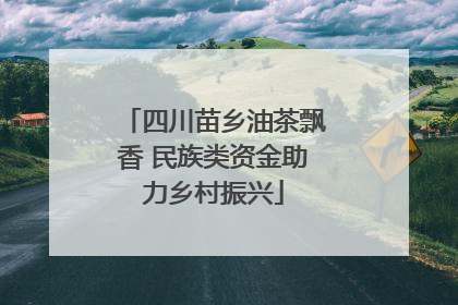 四川苗乡油茶飘香 民族类资金助力乡村振兴