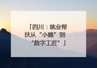 四川：就业帮扶从“小摊”到“数字工匠”