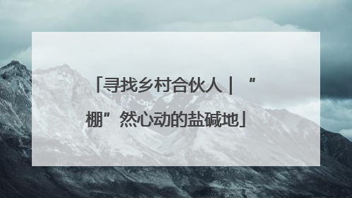 寻找乡村合伙人｜“棚”然心动的盐碱地