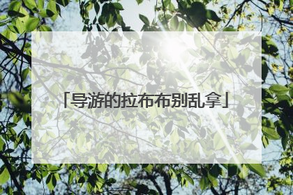 导游的拉布布别乱拿