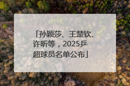 孙颖莎、王楚钦、许昕等，2025乒超球员名单公布