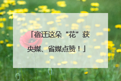 宿迁这朵“花”获央媒、省媒点赞！