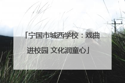 宁国市城西学校：戏曲进校园 文化润童心