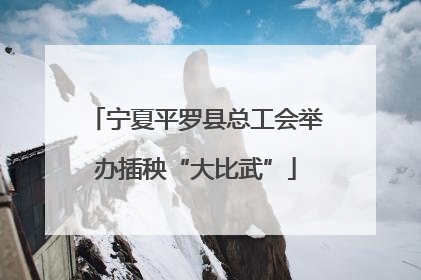 宁夏平罗县总工会举办插秧“大比武”