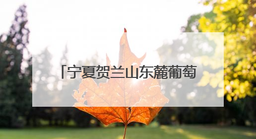 宁夏贺兰山东麓葡萄酒品鉴推介会在沪举行 搭建与长三角地区沟通合作的桥梁