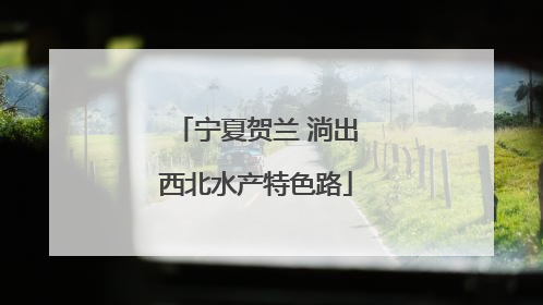 宁夏贺兰 淌出西北水产特色路