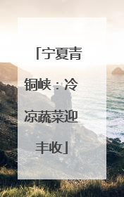 宁夏青铜峡：冷凉蔬菜迎丰收