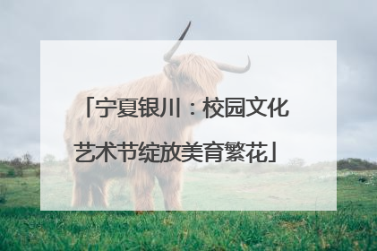 宁夏银川：校园文化艺术节绽放美育繁花
