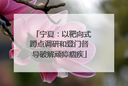 宁夏：以靶向式蹲点调研和登门督导破解顽瘴痼疾