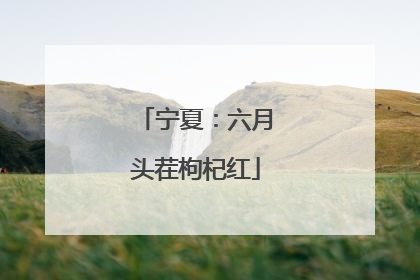 宁夏：六月头茬枸杞红