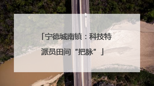宁德城南镇：科技特派员田间“把脉”