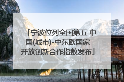 宁波位列全国第五 中国(城市)-中东欧国家开放创新合作指数发布