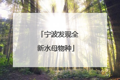 宁波发现全新水母物种
