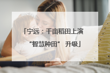 宁远：千亩稻田上演 “智慧种田” 升级