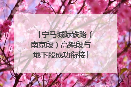 宁马城际铁路（南京段）高架段与地下段成功衔接