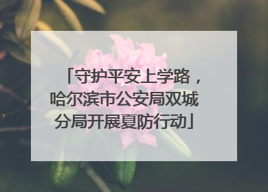 守护平安上学路，哈尔滨市公安局双城分局开展夏防行动