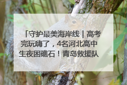 守护最美海岸线｜高考完玩嗨了，4名河北高中生夜困礁石！青岛救援队火速出动救上岸