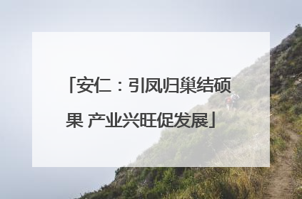 安仁：引凤归巢结硕果 产业兴旺促发展