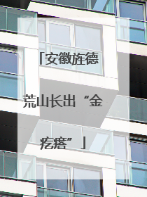 安徽旌德 荒山长出“金疙瘩”