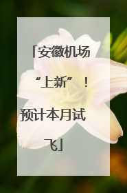 安徽机场“上新”！预计本月试飞