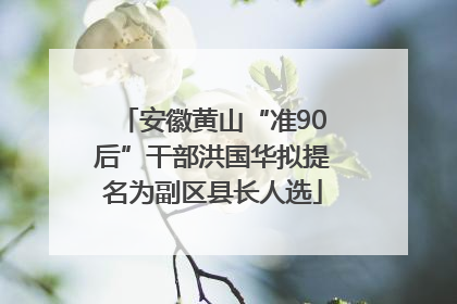 安徽黄山“准90后”干部洪国华拟提名为副区县长人选