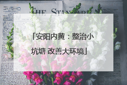 安阳内黄：整治小坑塘 改善大环境