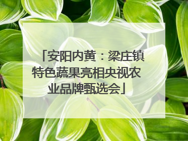 安阳内黄：梁庄镇特色蔬果亮相央视农业品牌甄选会