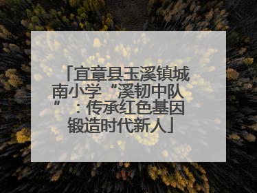 宜章县玉溪镇城南小学“溪韧中队”：传承红色基因 锻造时代新人