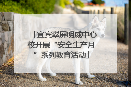宜宾翠屏明威中心校开展“安全生产月”系列教育活动
