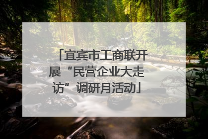 宜宾市工商联开展“民营企业大走访”调研月活动