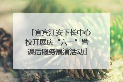 宜宾江安下长中心校开展庆“六一”暨课后服务展演活动
