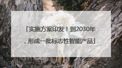 实施方案印发！到2030年，形成一批标志性智能产品