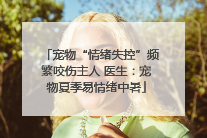 宠物“情绪失控”频繁咬伤主人 医生：宠物夏季易情绪中暑