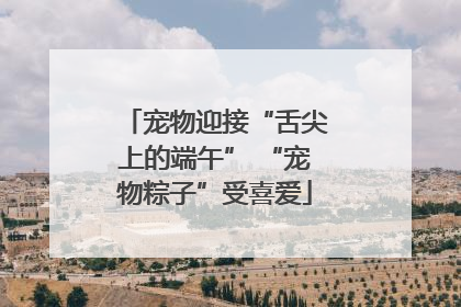 宠物迎接“舌尖上的端午” “宠物粽子”受喜爱