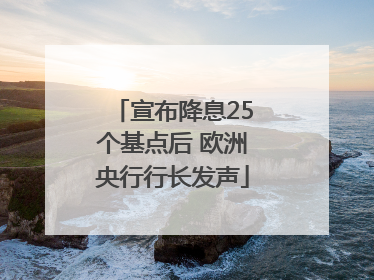 宣布降息25个基点后 欧洲央行行长发声