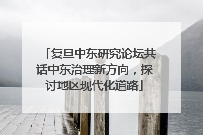 复旦中东研究论坛共话中东治理新方向，探讨地区现代化道路