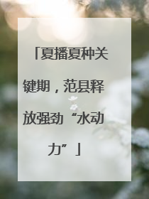 夏播夏种关键期，范县释放强劲“水动力”