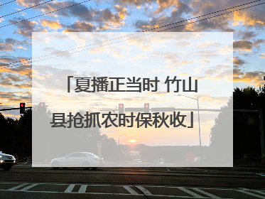 夏播正当时 竹山县抢抓农时保秋收