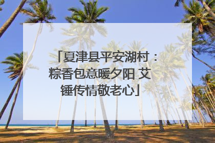 夏津县平安湖村：粽香包意暖夕阳 艾锤传情敬老心