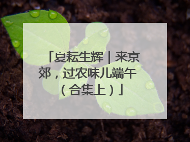 夏耘生辉｜来京郊，过农味儿端午（合集上）