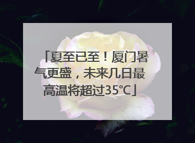 夏至已至！厦门暑气更盛，未来几日最高温将超过35℃