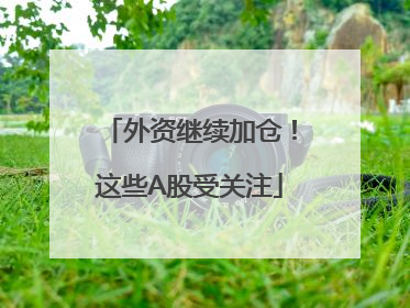 外资继续加仓！这些A股受关注